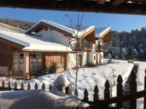 Apartment Royal Gala by Interhome Sanzeno
